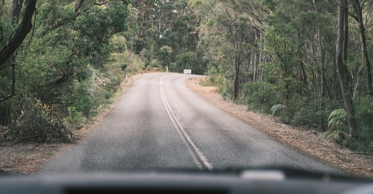 Factors Influencing the Cost of Driving Lessons